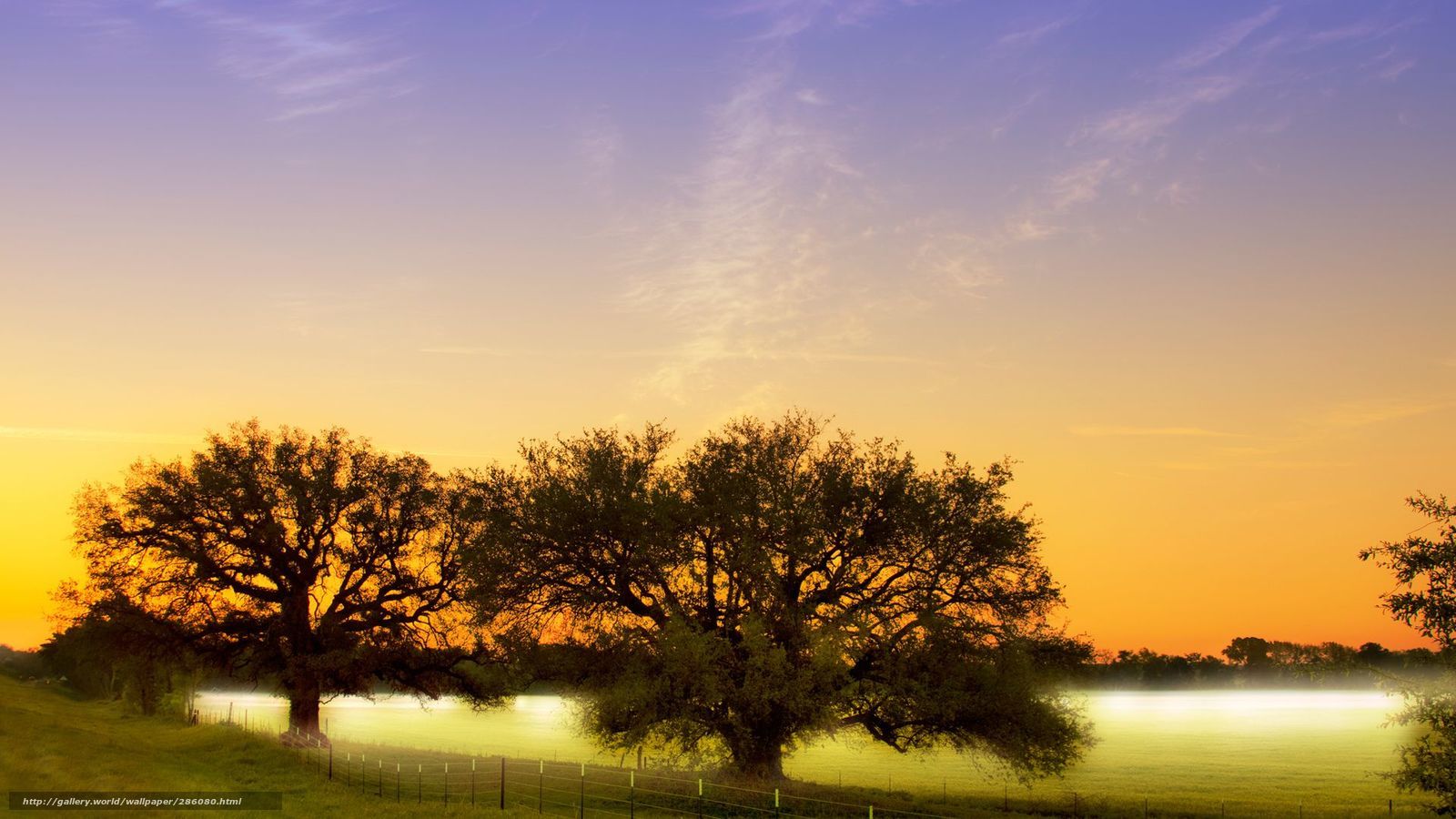 Sunset over a misty field