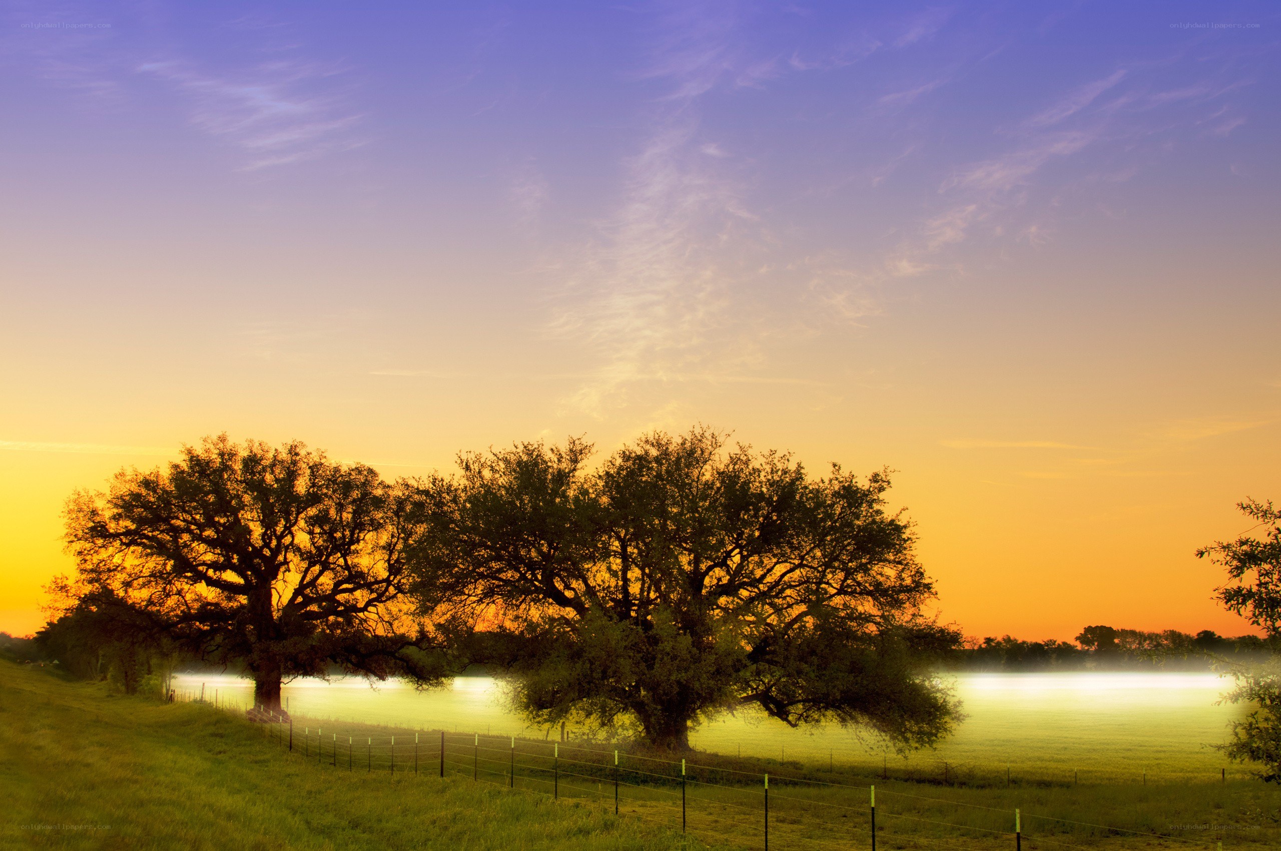 Sunset over a misty field