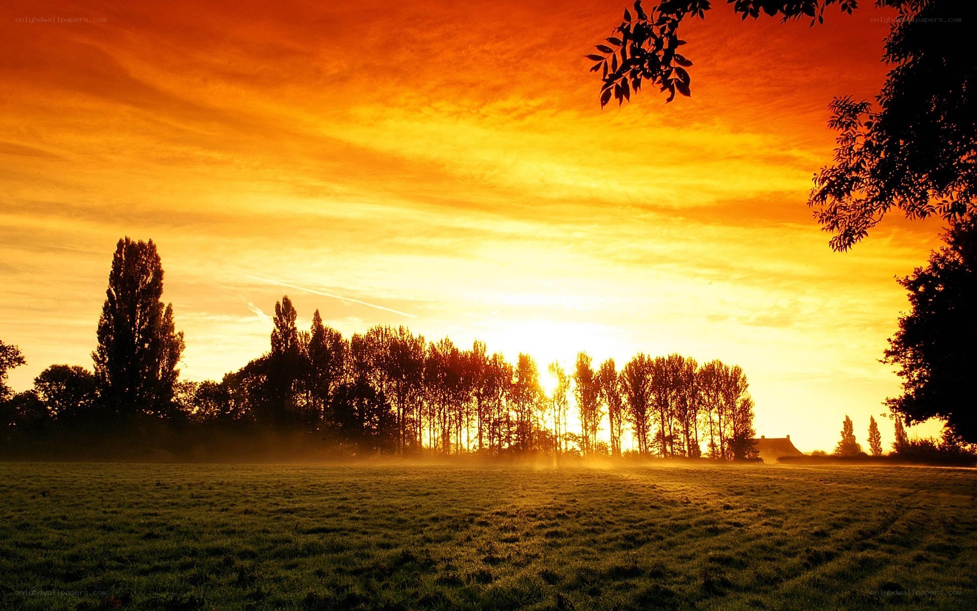 Sunset over a misty field