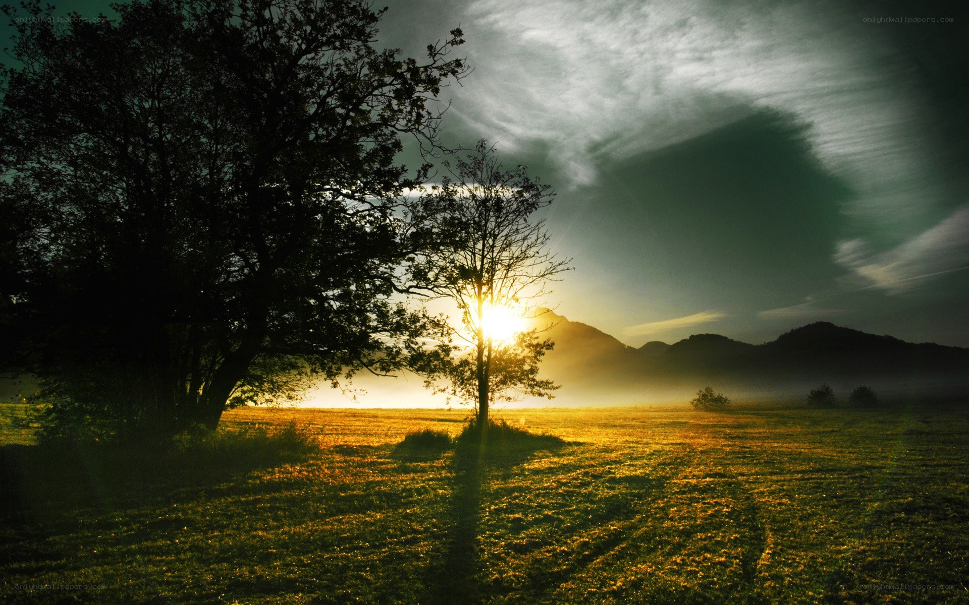 Sunset over a misty field