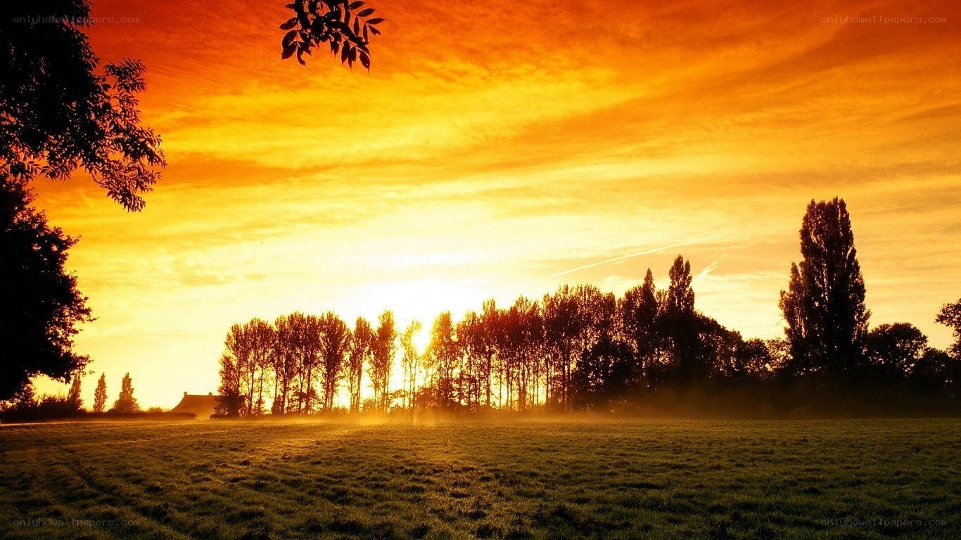 Sunset over a misty field