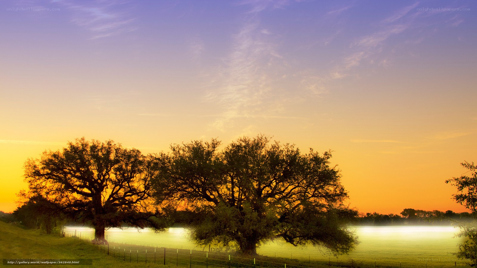 Sunset over a misty field