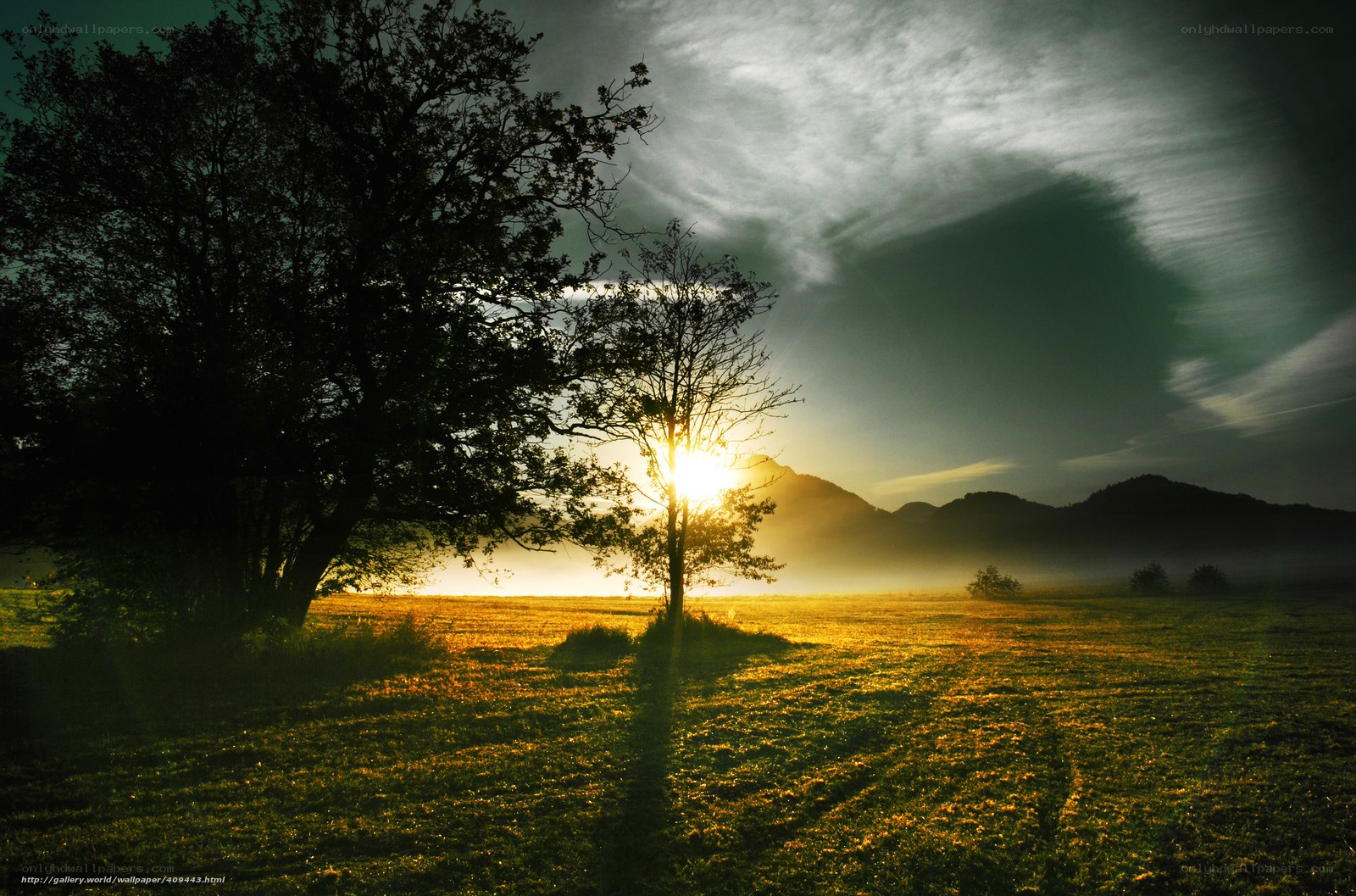 Sunset over a misty field