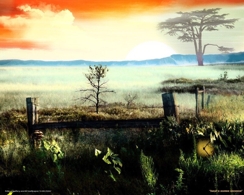 Sunset over a misty field
