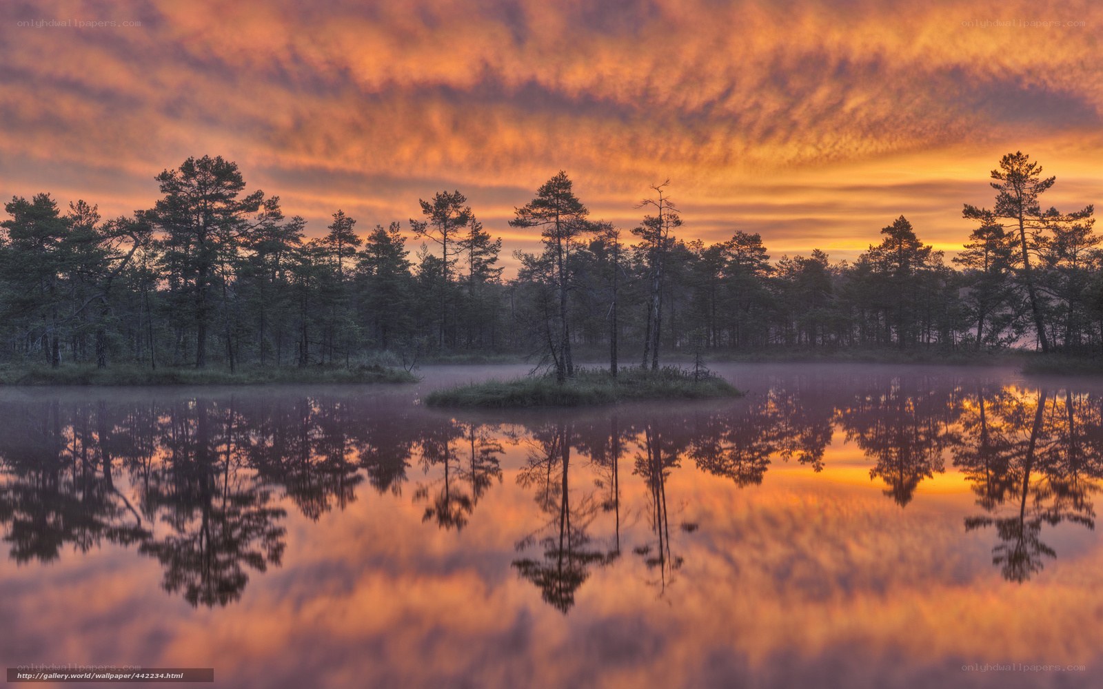 Sunset over a misty forest lake