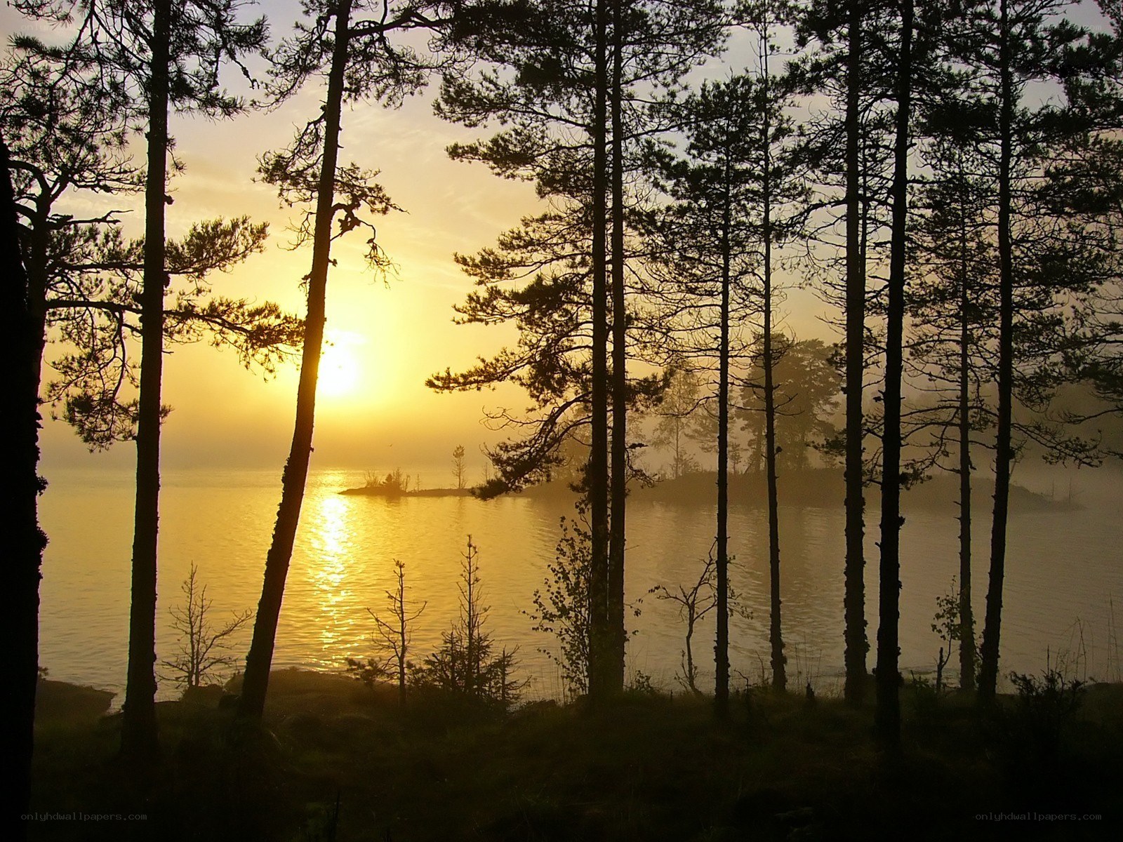 Sunset over a misty lake