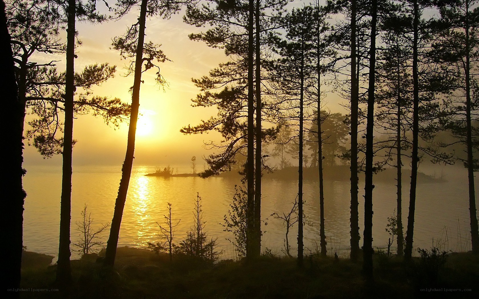 Sunset over a misty lake