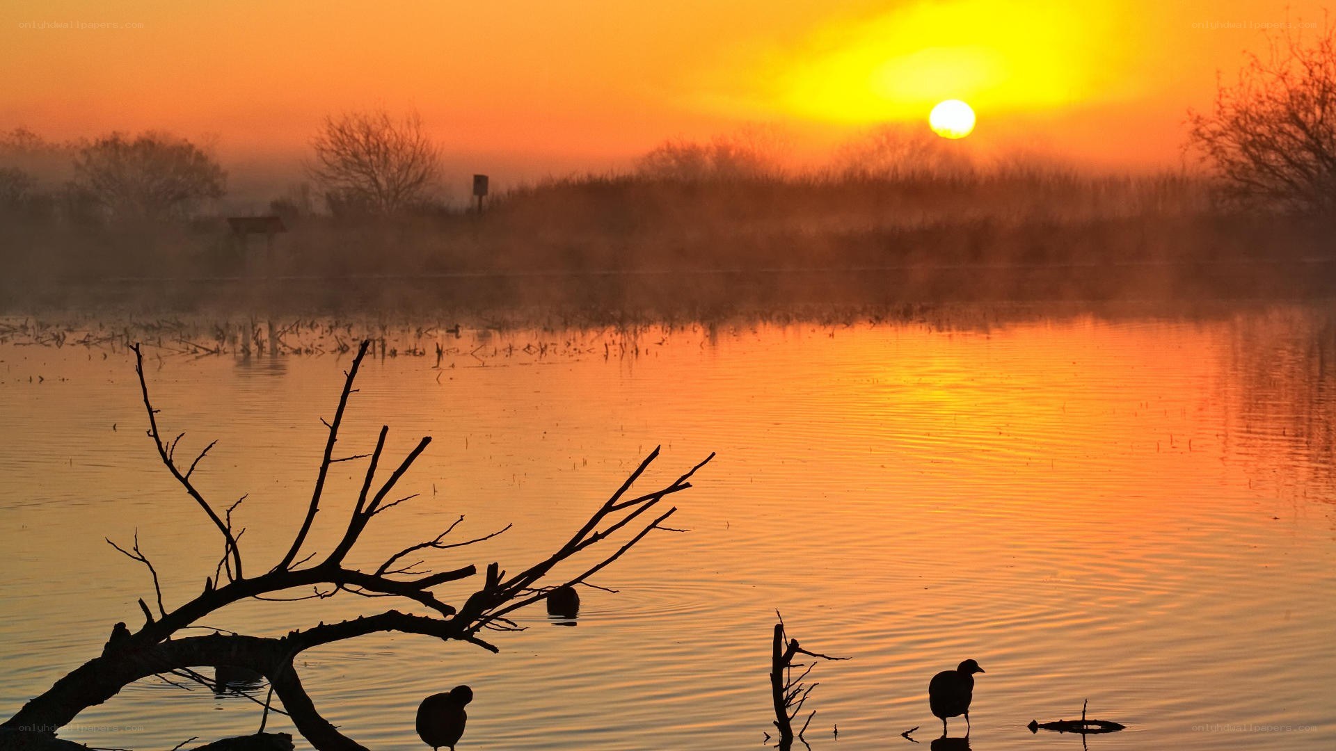 Sunset over a misty lake