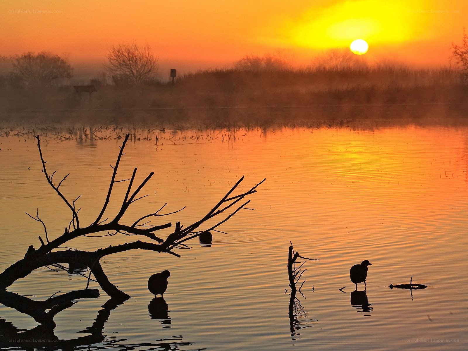 Sunset over a misty lake