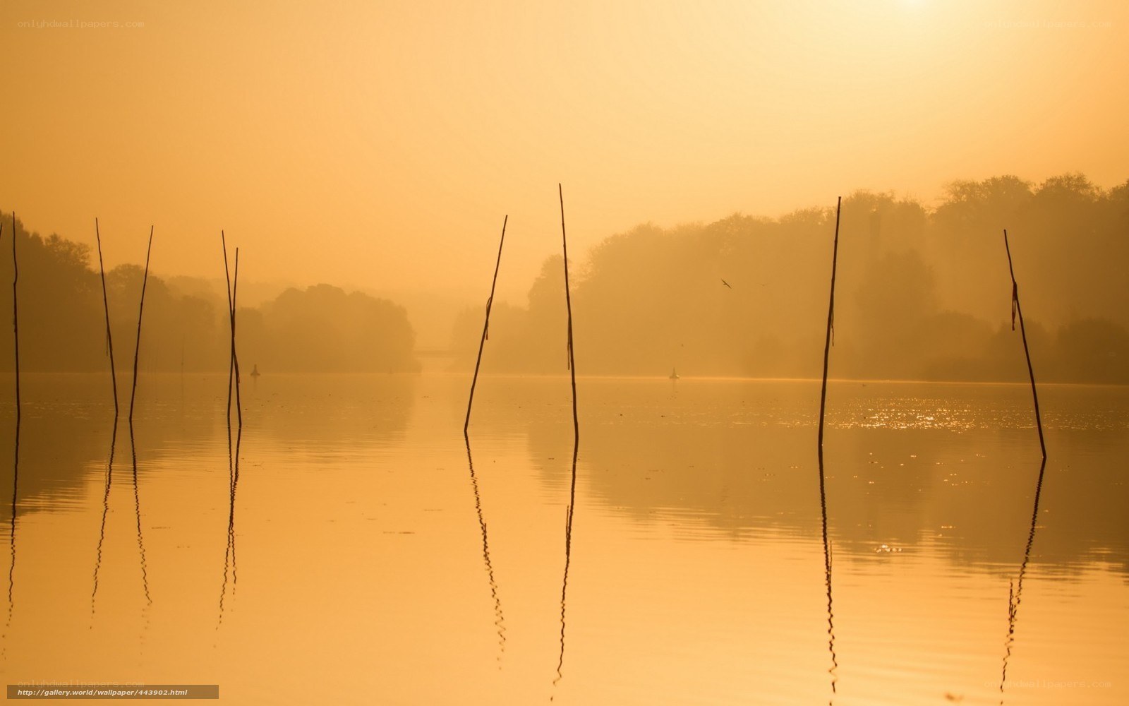 Sunset over a misty lake