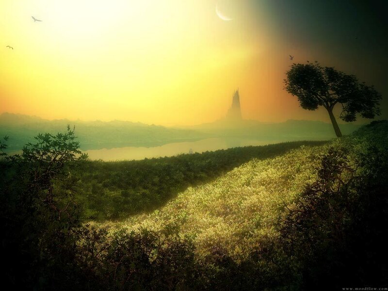 Sunset over a misty landscape
