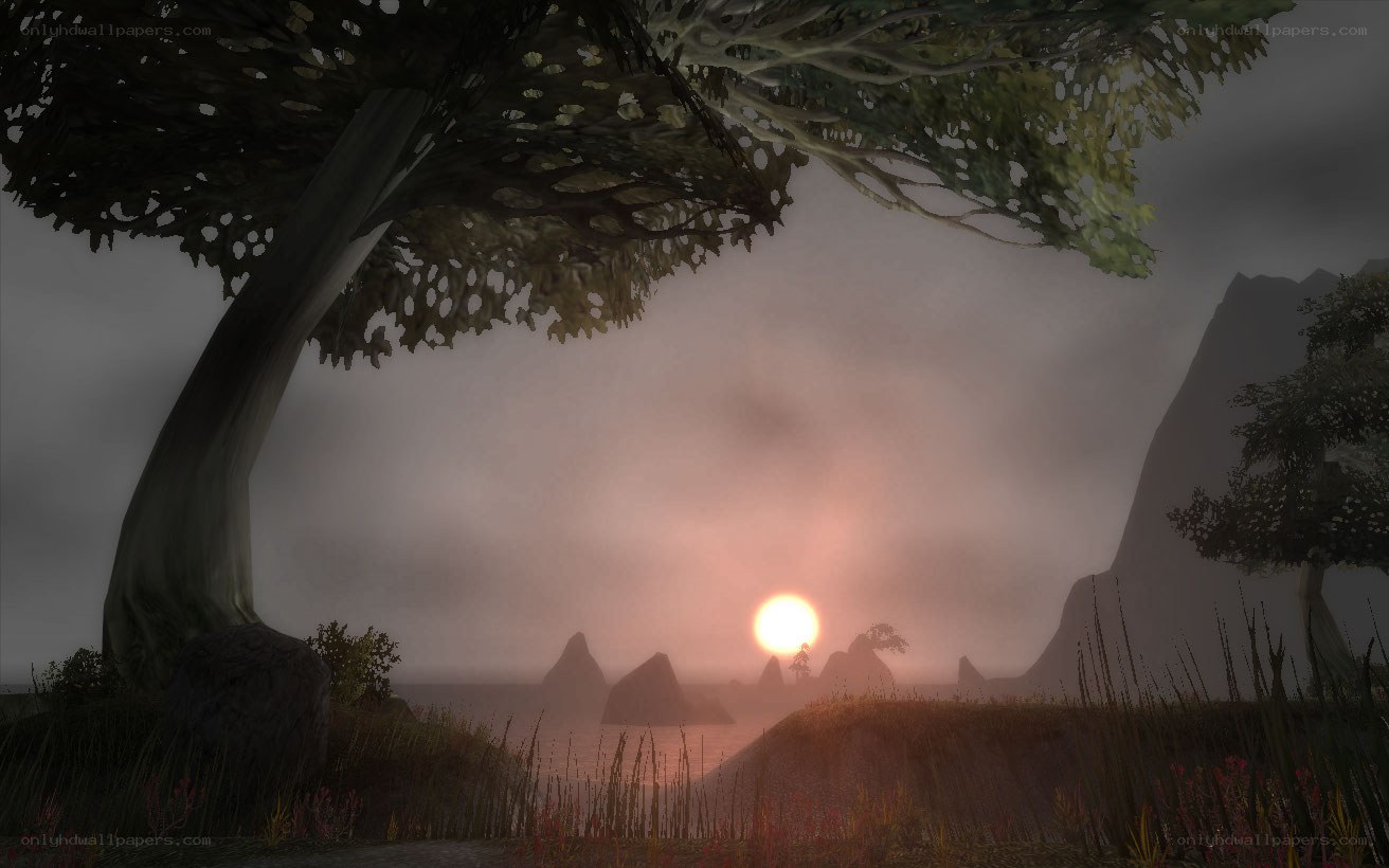 sunset over a misty landscape