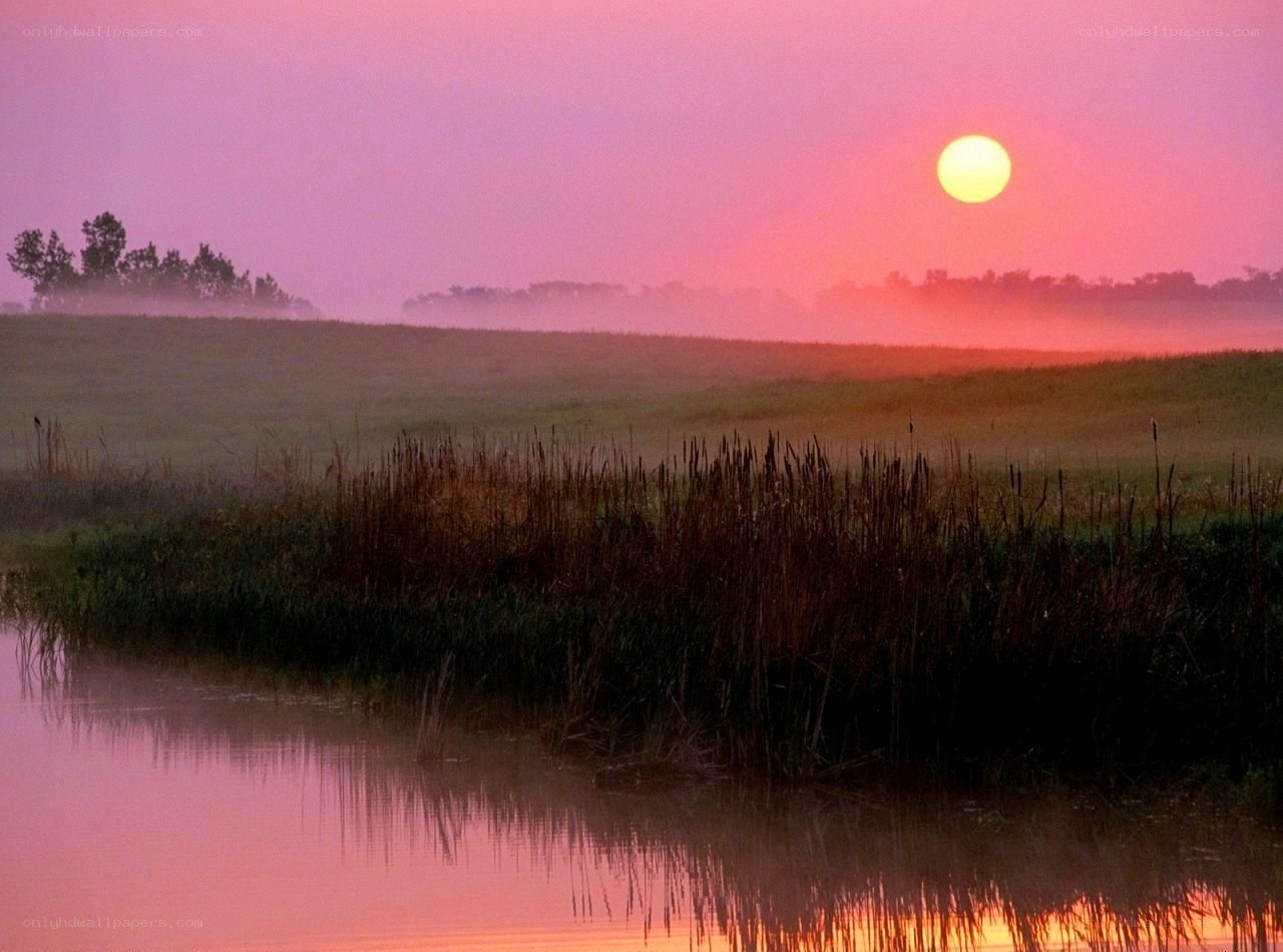 Sunset over a misty marsh