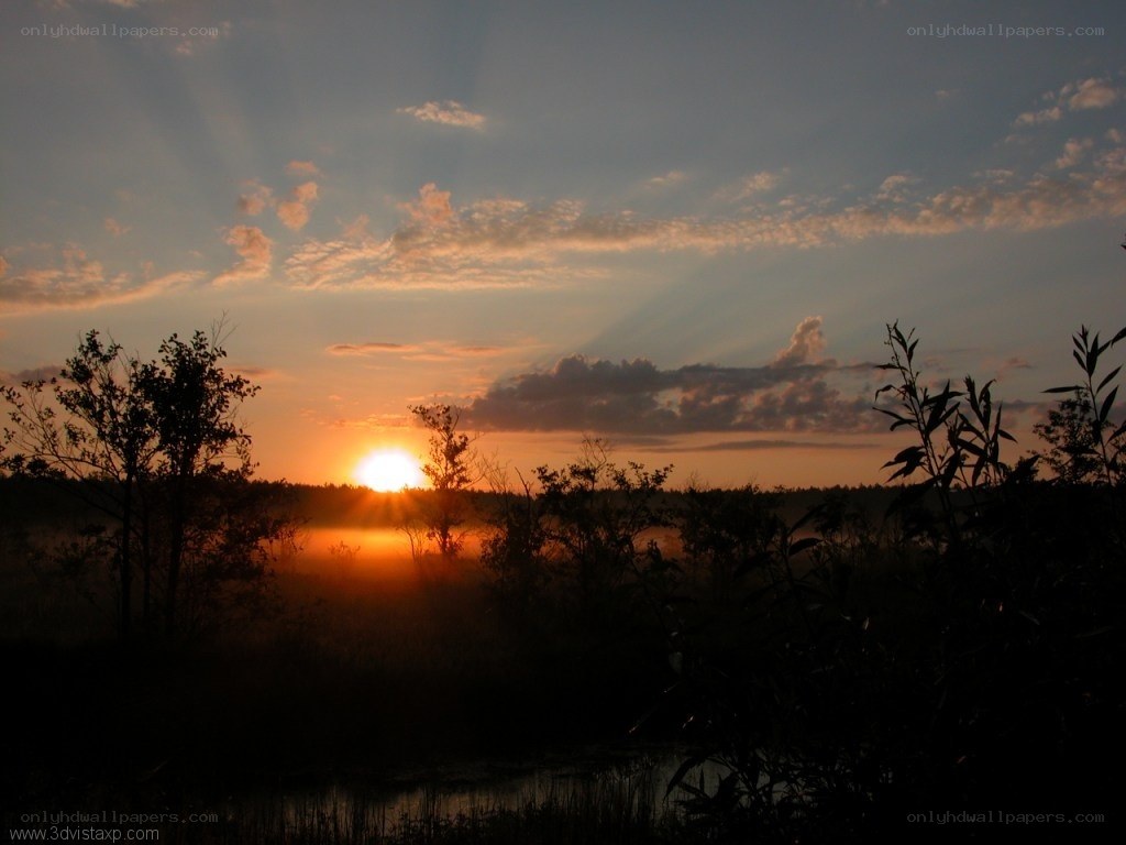 sunset over a misty marsh