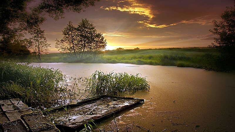 Sunset over a misty pond
