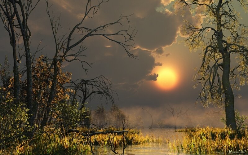 Sunset over a misty swamp