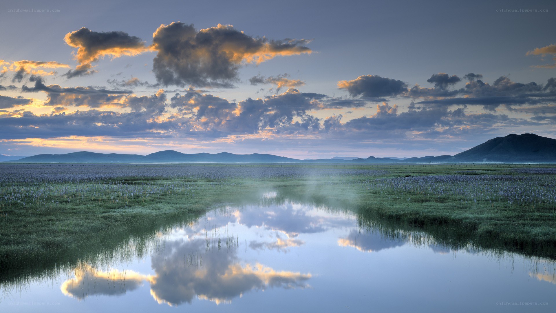 Sunset over a misty wetland