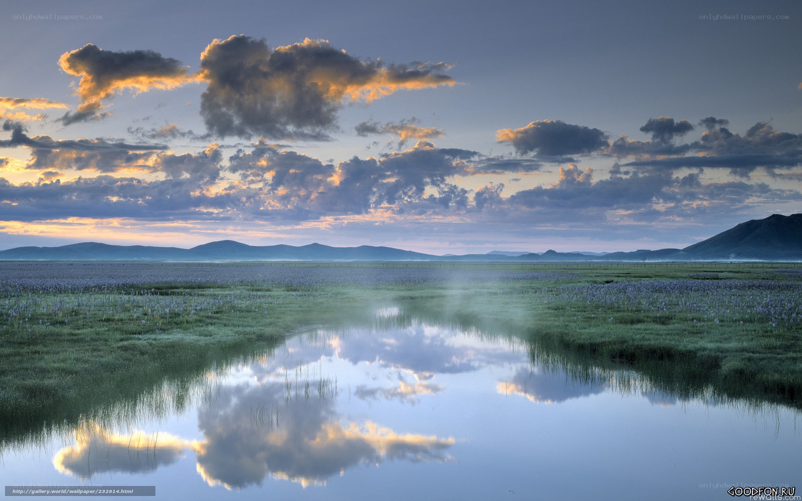 Sunset over a misty wetland