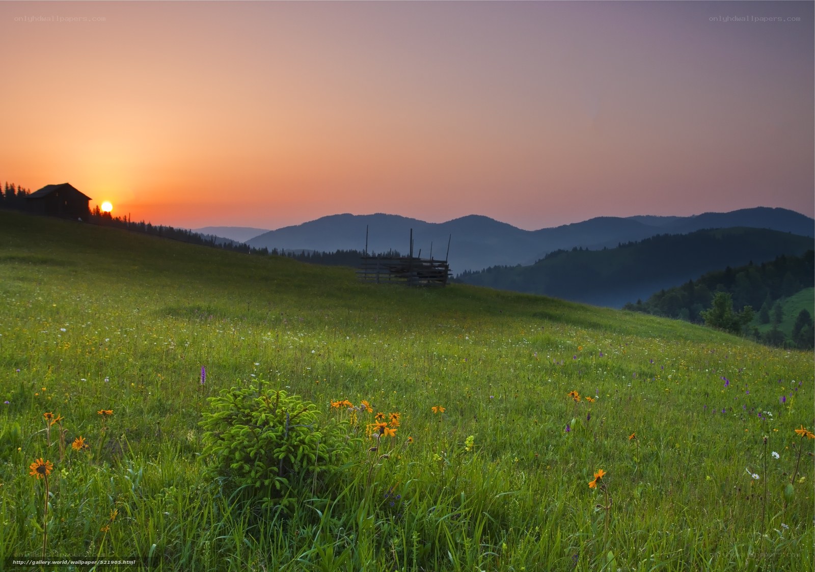 Sunset over a mountain meadow