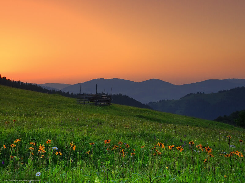 Sunset over a mountain meadow