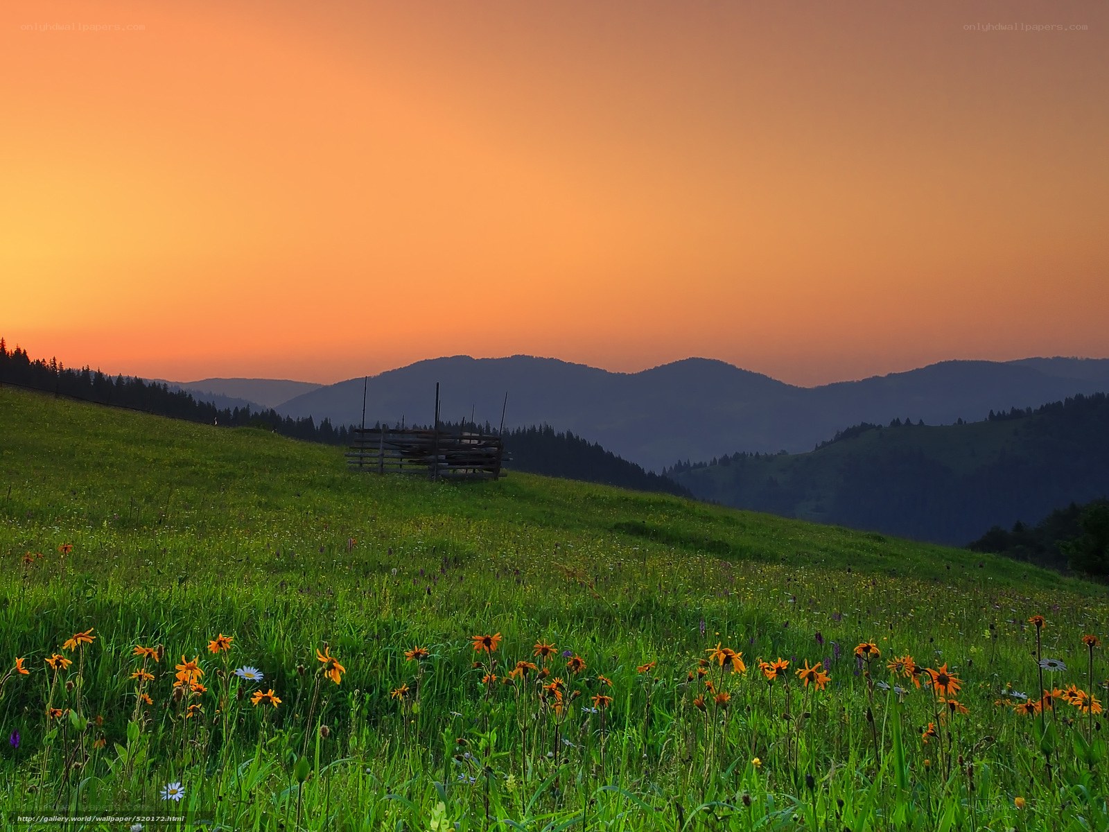 Sunset over a mountain meadow