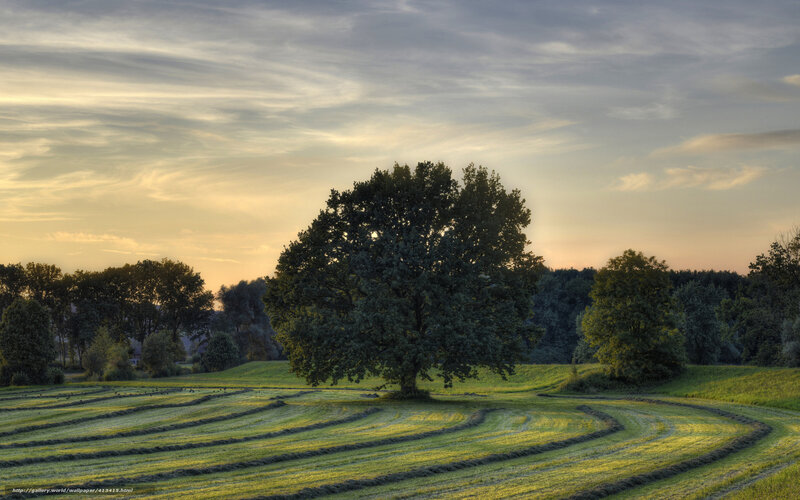 Sunset over a mown field