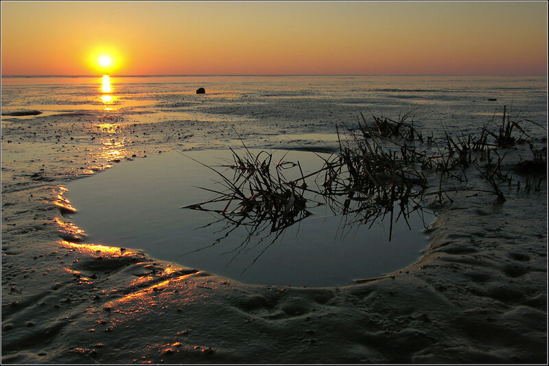 Sunset over a muddy shore
