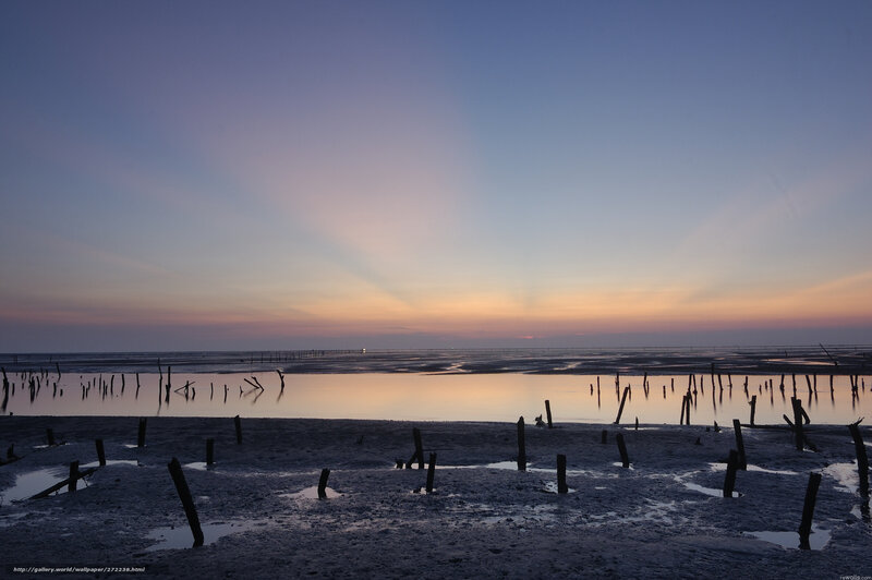 sunset over a muddy shore