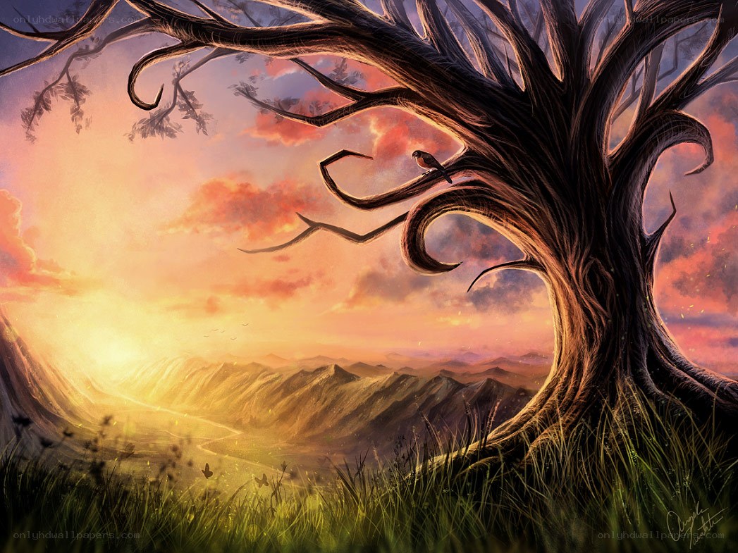 Sunset over a mystical landscape