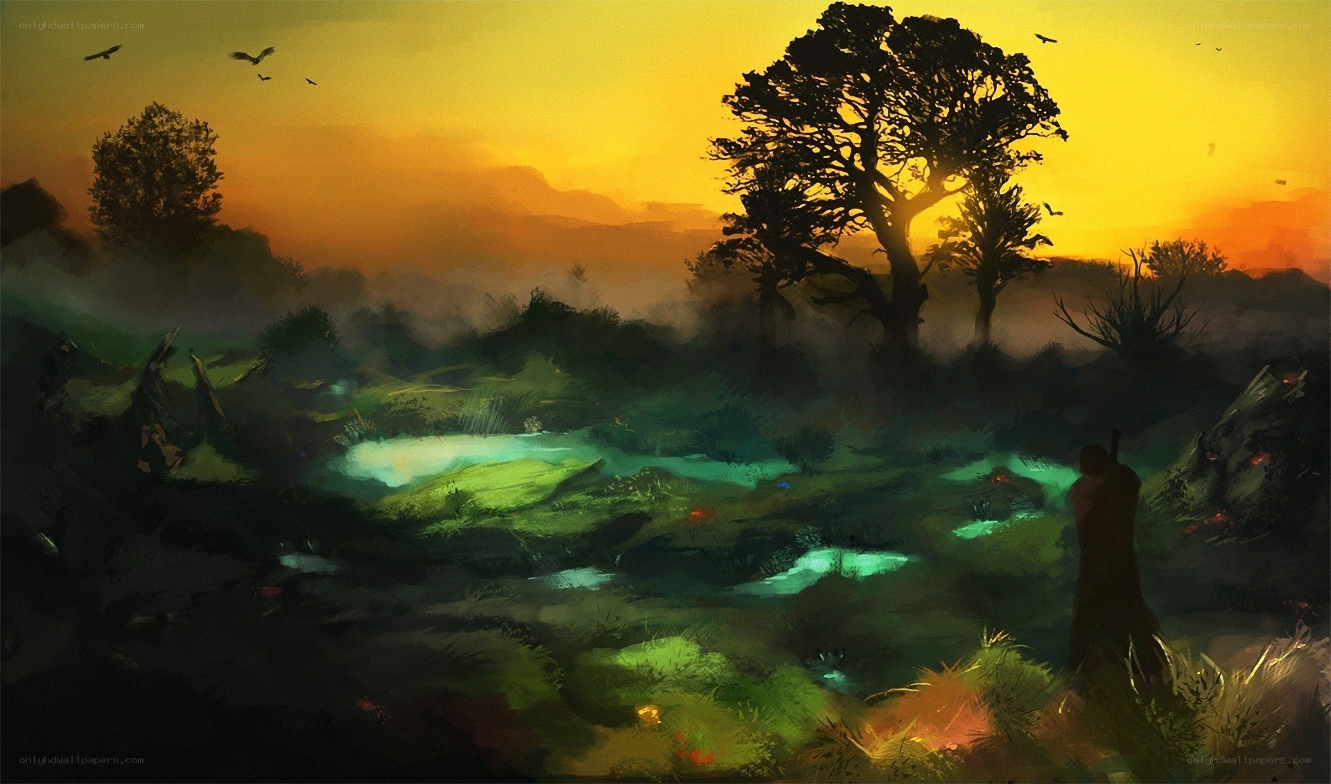 sunset over a mystical swamp