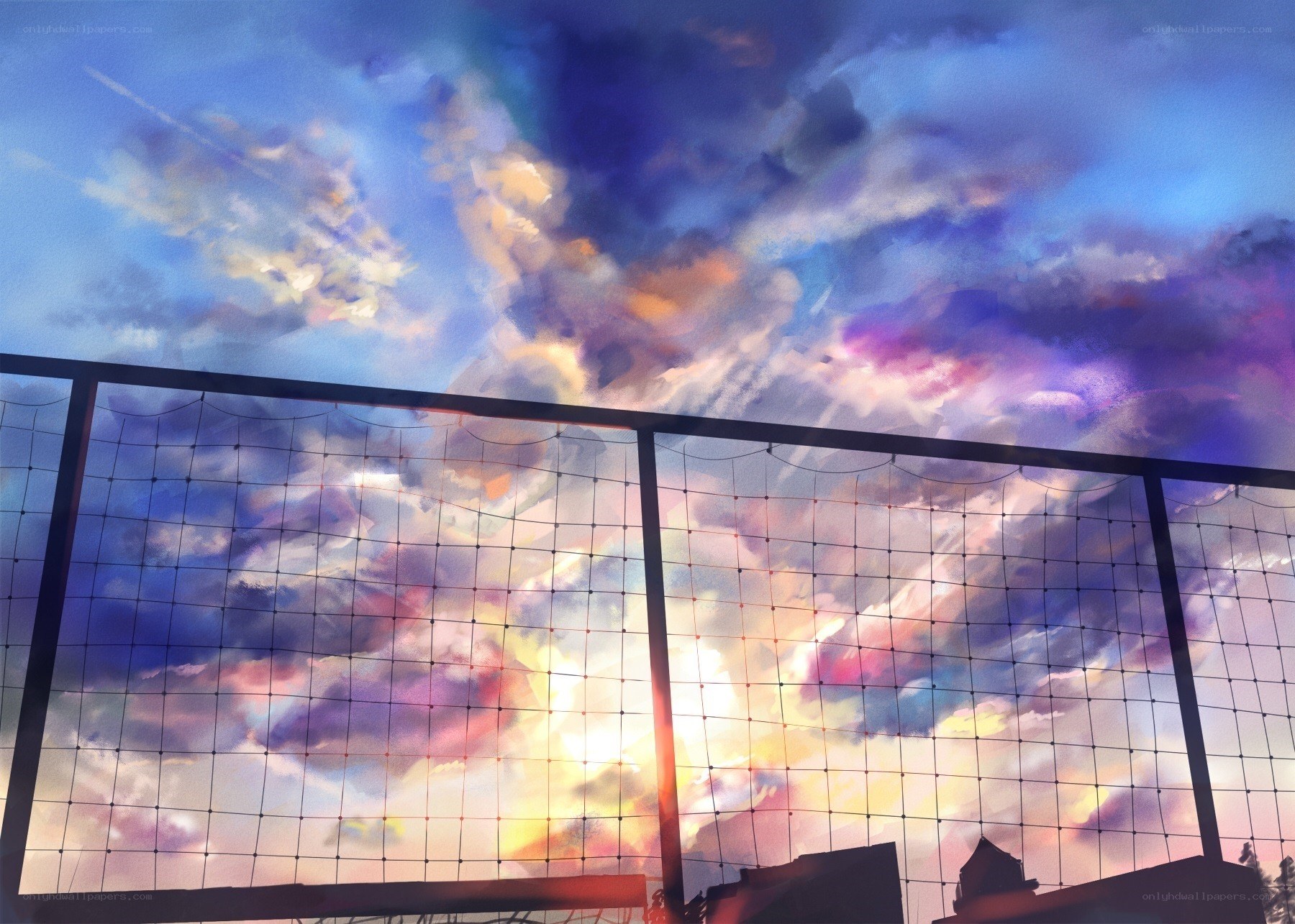 sunset over a net