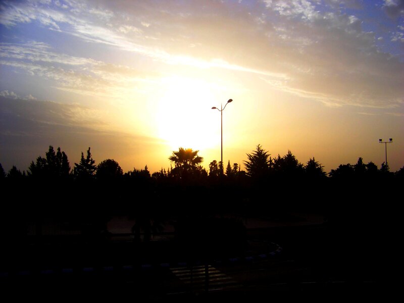 Sunset over a park