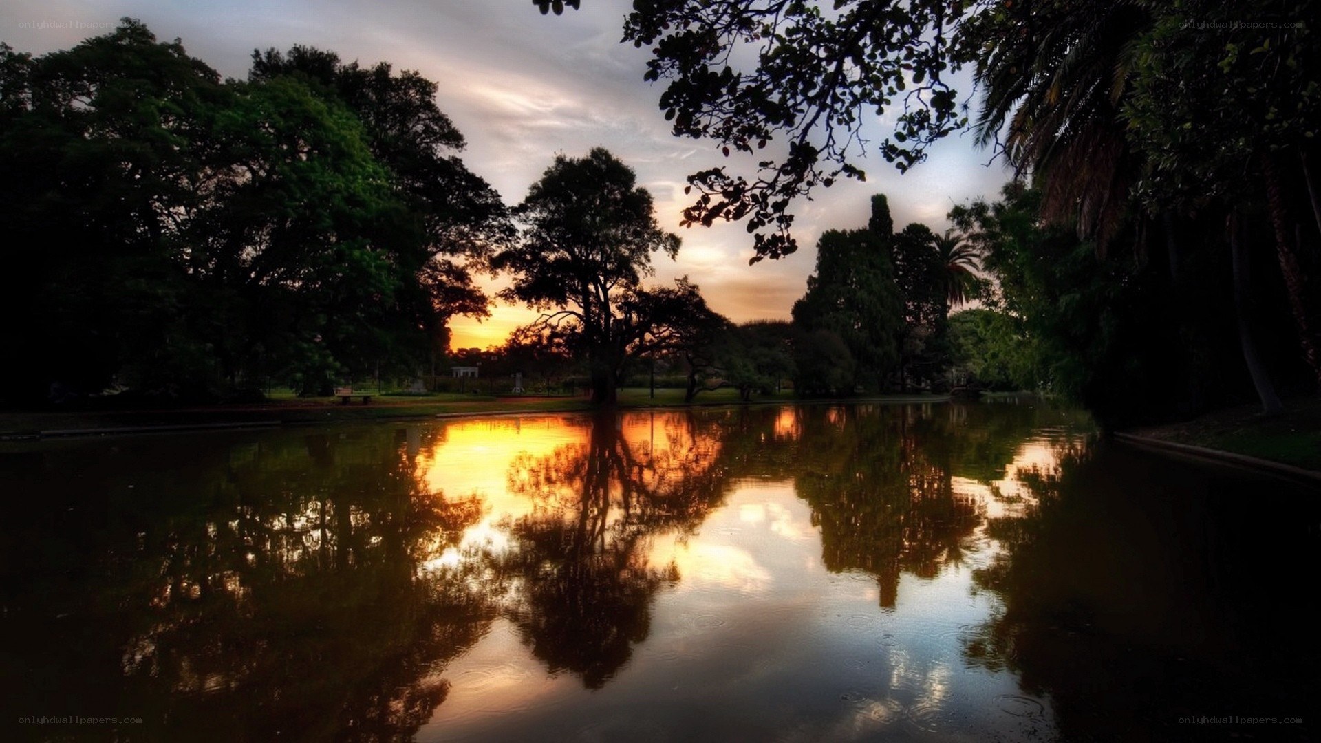 sunset over a park pond