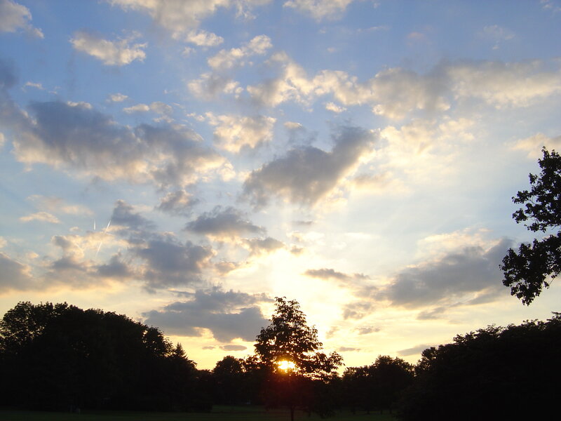 Sunset over a park