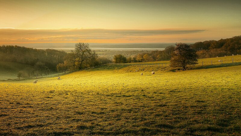 Sunset over a pastoral field