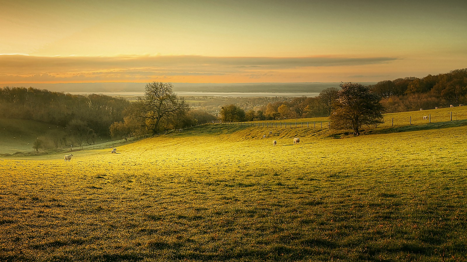 Sunset over a pastoral field