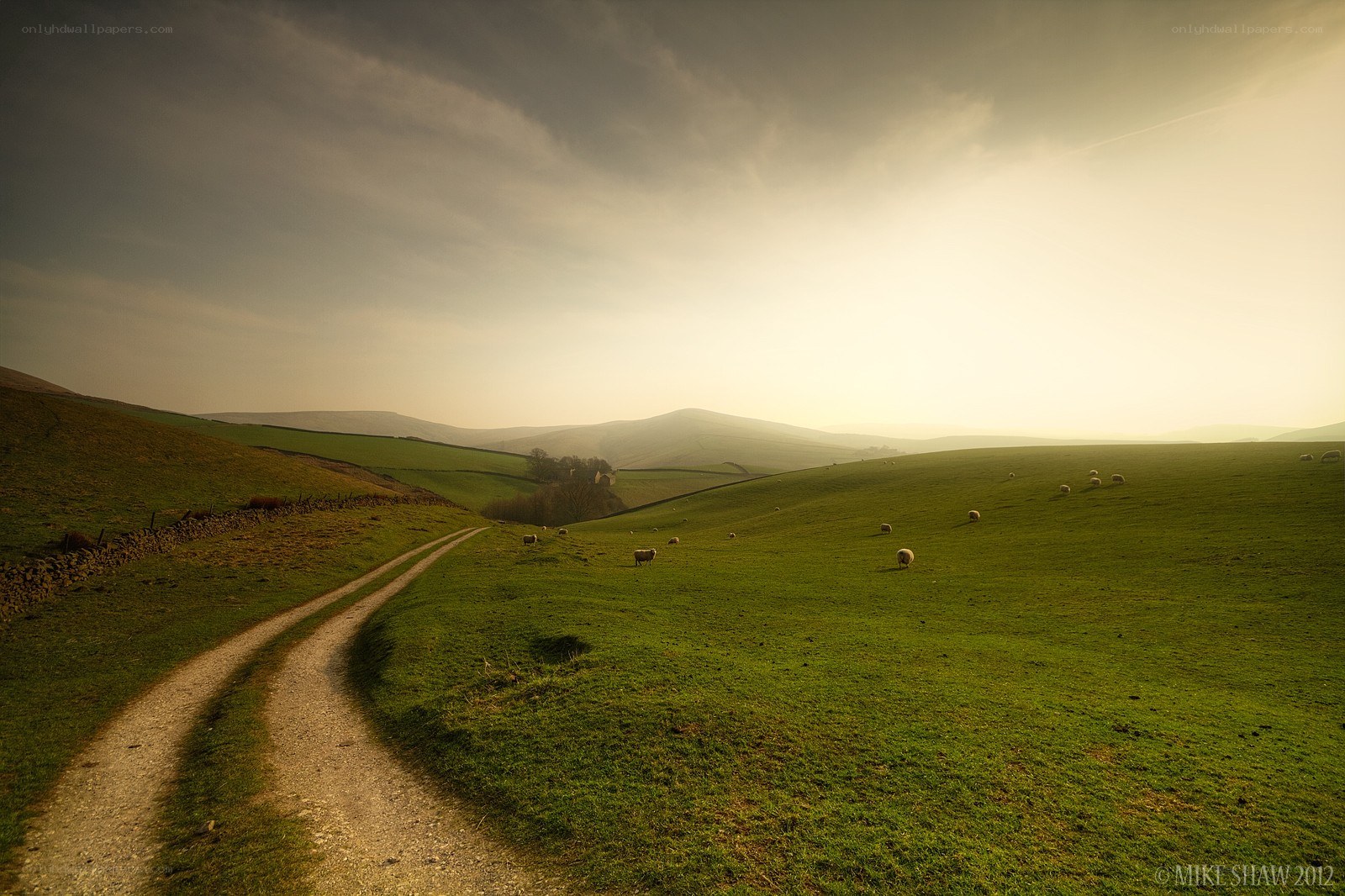 Sunset over a pastoral landscape