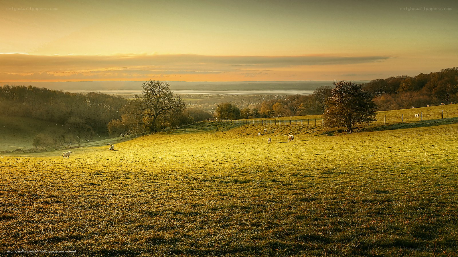 Sunset over a pastoral landscape