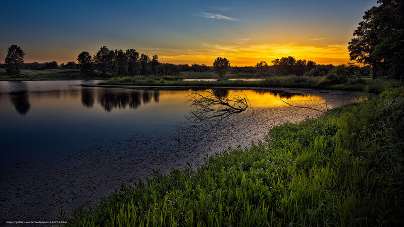 Sunset over a Pond — Blue