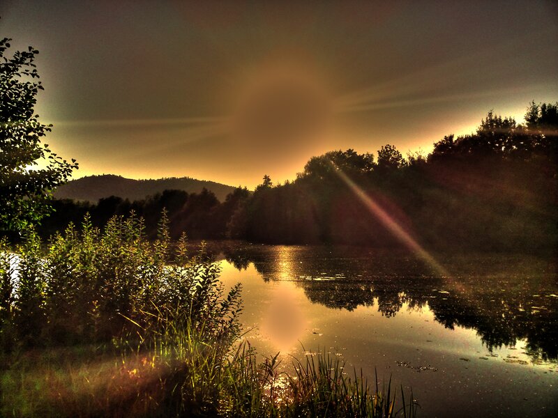 Sunset over a Pond — Gold