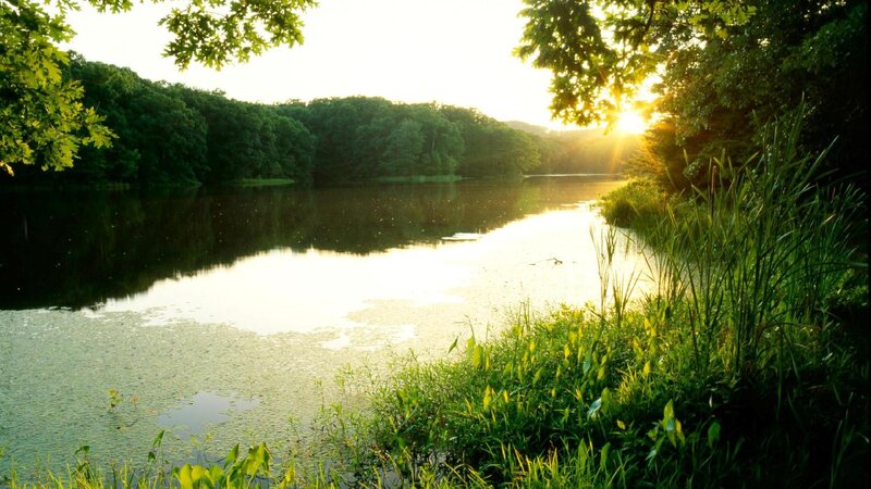 Sunset over a Pond — Green