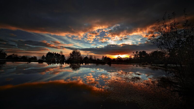 Sunset over a Pond — Orange, Dramatic, Photograph, Clouds, Trees, Reflection, Blue, Black