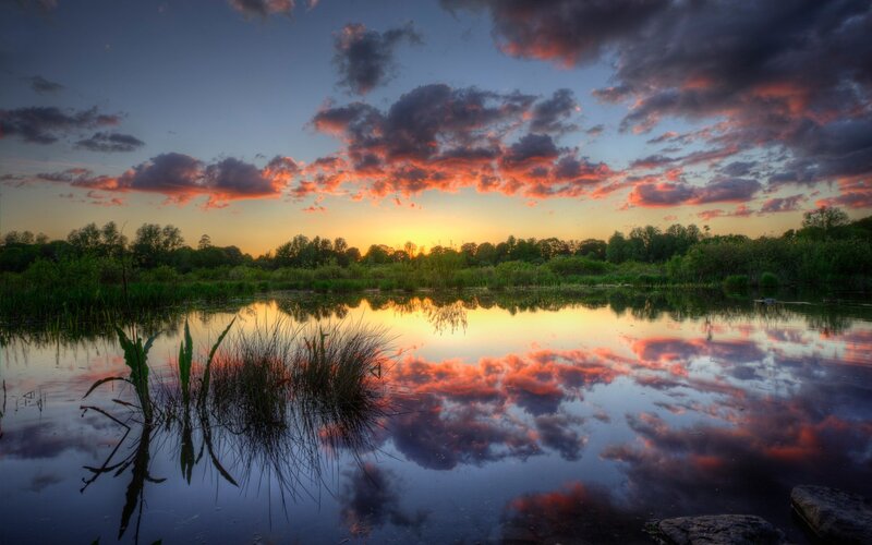 Sunset over a Pond — Orange, Dramatic, Photograph, Clouds, Trees