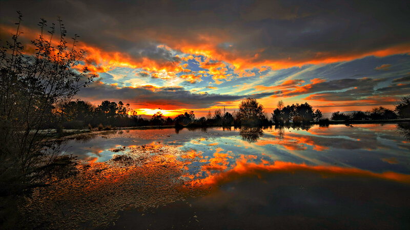 Sunset over a Pond — Orange, Dramatic, Photograph, Sky