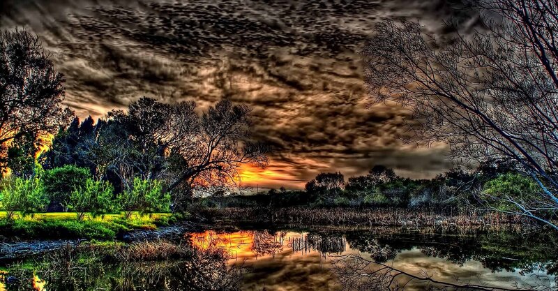 Sunset over a Pond — Orange, Dramatic, Photograph, Trees