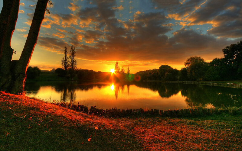 Sunset over a Pond — Orange, Serene, Photograph, Tree