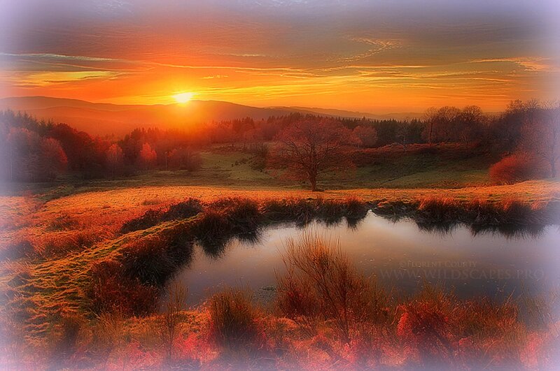 Sunset over a Pond — Orange, Serene, Photograph, Trees, Mountains