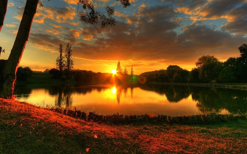 Sunset over a Pond — Orange, Serene, Photograph, Trees, Sky, Sun