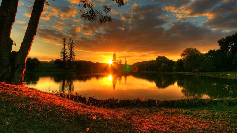 Sunset over a Pond — Orange, Serene, Photograph, Trees