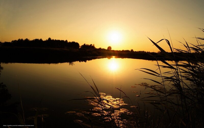 Sunset over a Pond — Yellow
